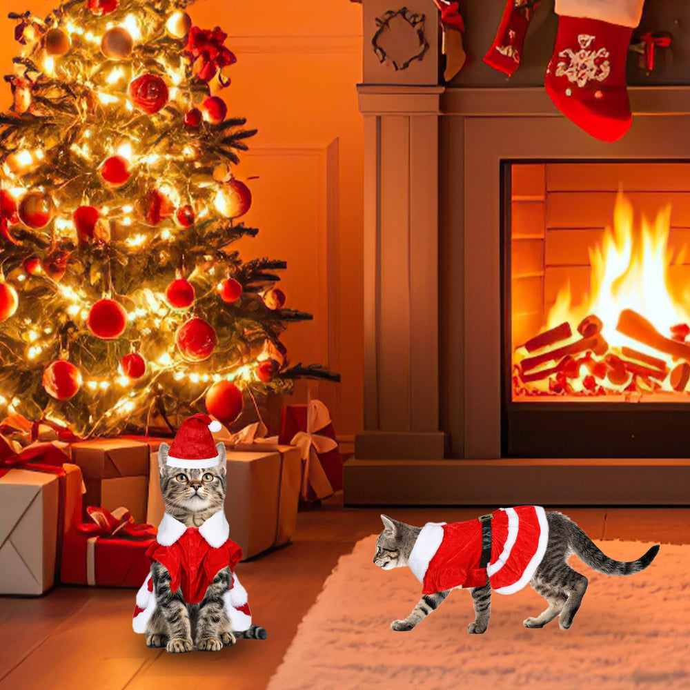 PAYHTOW cat Christmas costume set ideal for gifting and holiday gatherings.