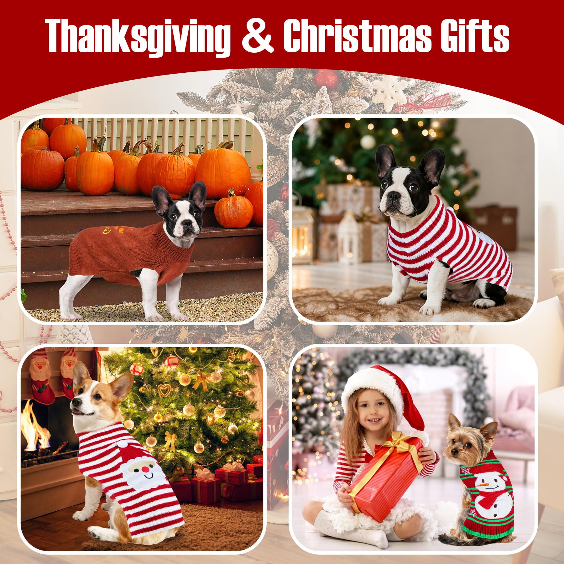 PAYHTOW Christmas snowman sweater on a dog for cozy family moments.