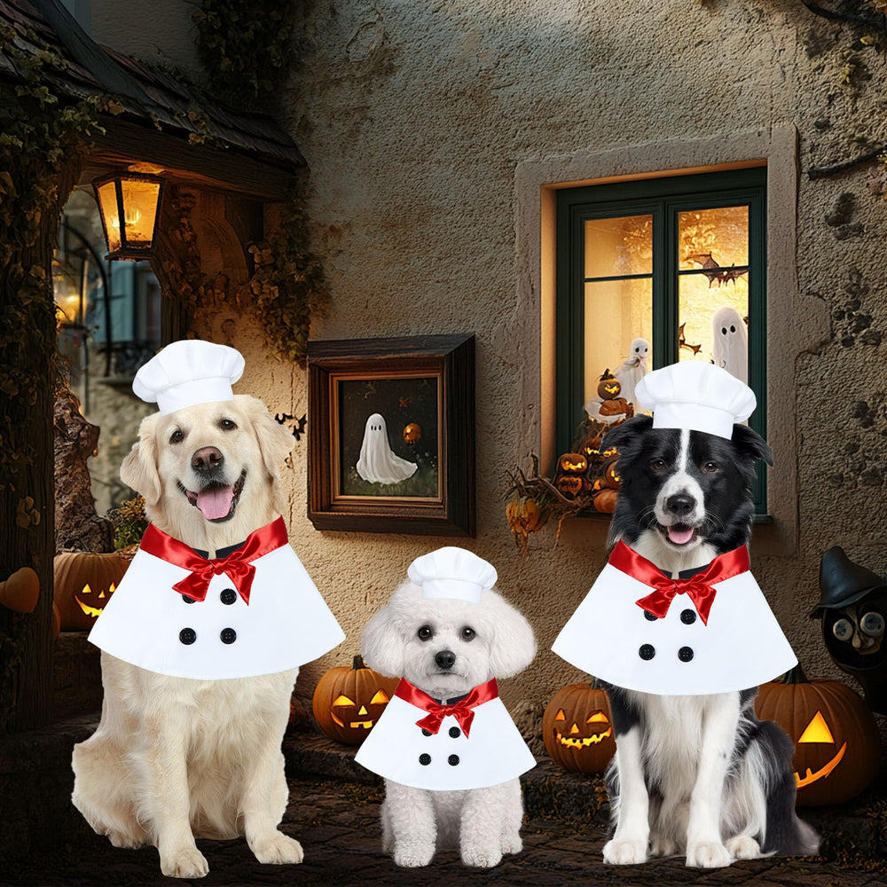 PAYHTOW dog chef set demonstrates easy dressing and festive style.