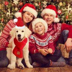 PAYHTOW dog Christmas scarf adds warmth and charm during winter walks.