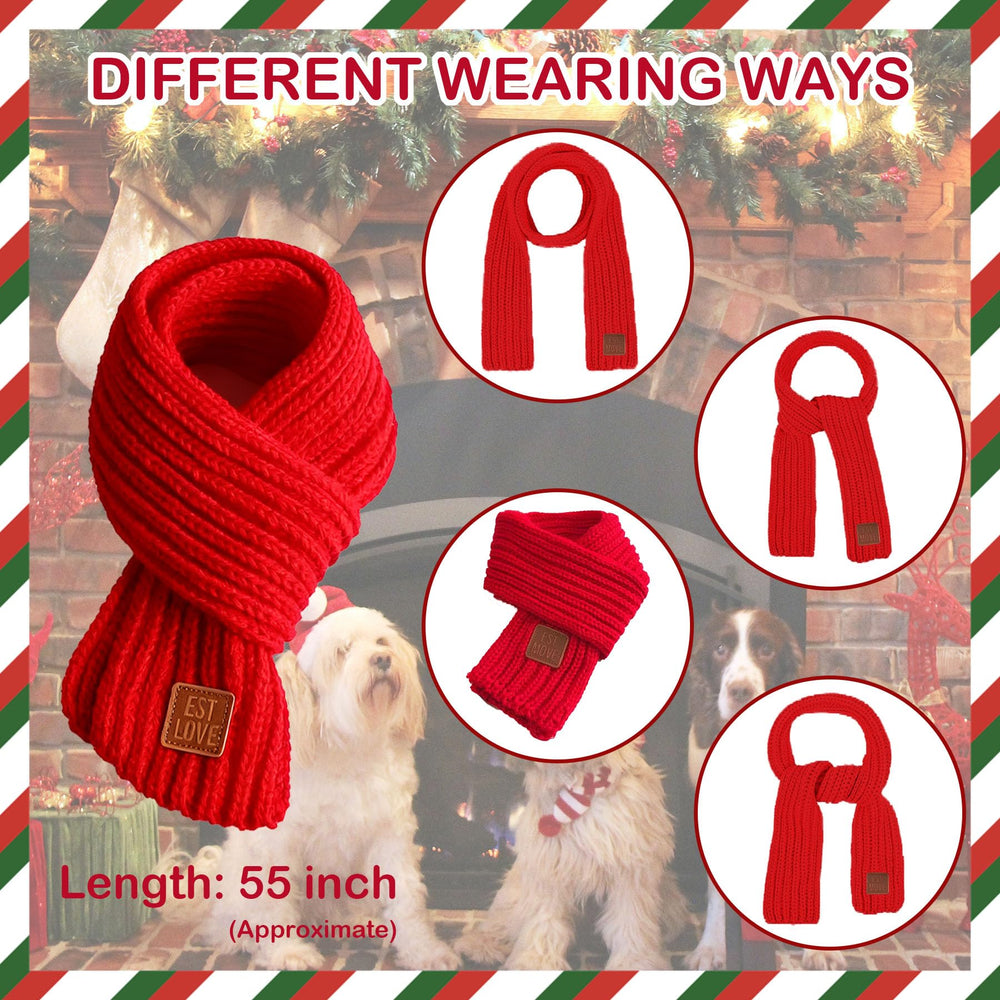 PAYHTOW dog holiday photoshoot showcasing adorable festive look
