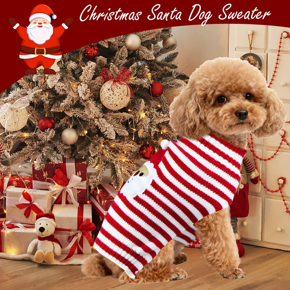 PAYHTOW dog-sweater family-photo-ready design helps capture festive memories.