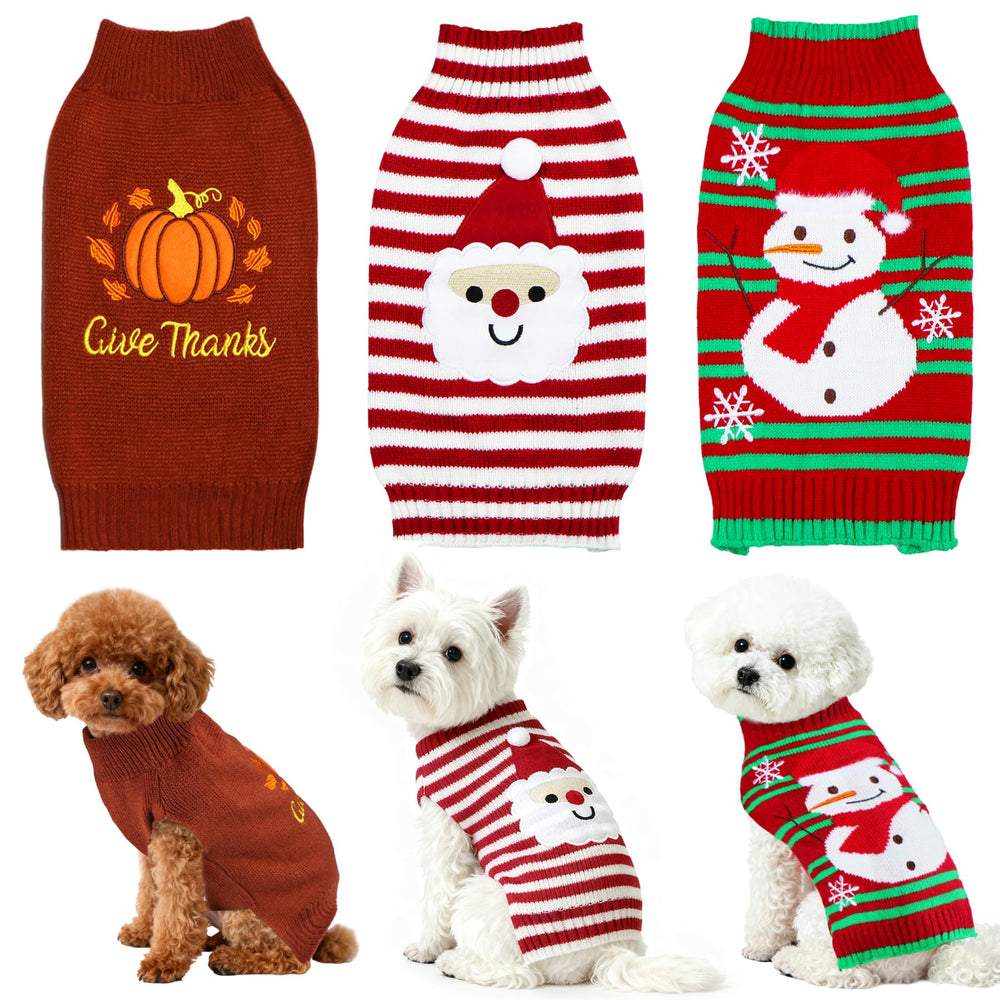 PAYHTOW pumpkin sweater in pack showcases festive Thanksgiving style for dogs