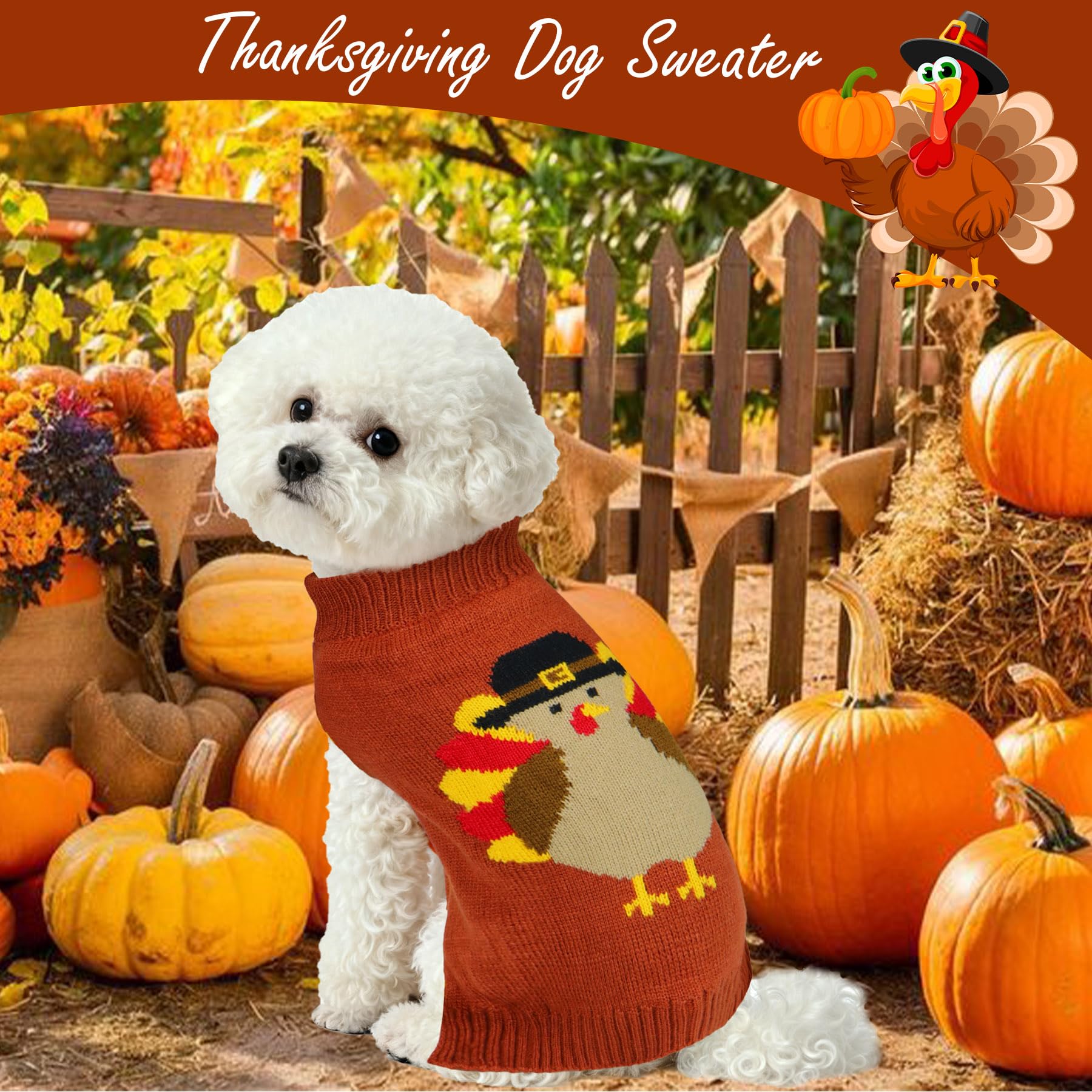 PAYHTOW dog wearing sweater in cozy living room during holiday season.