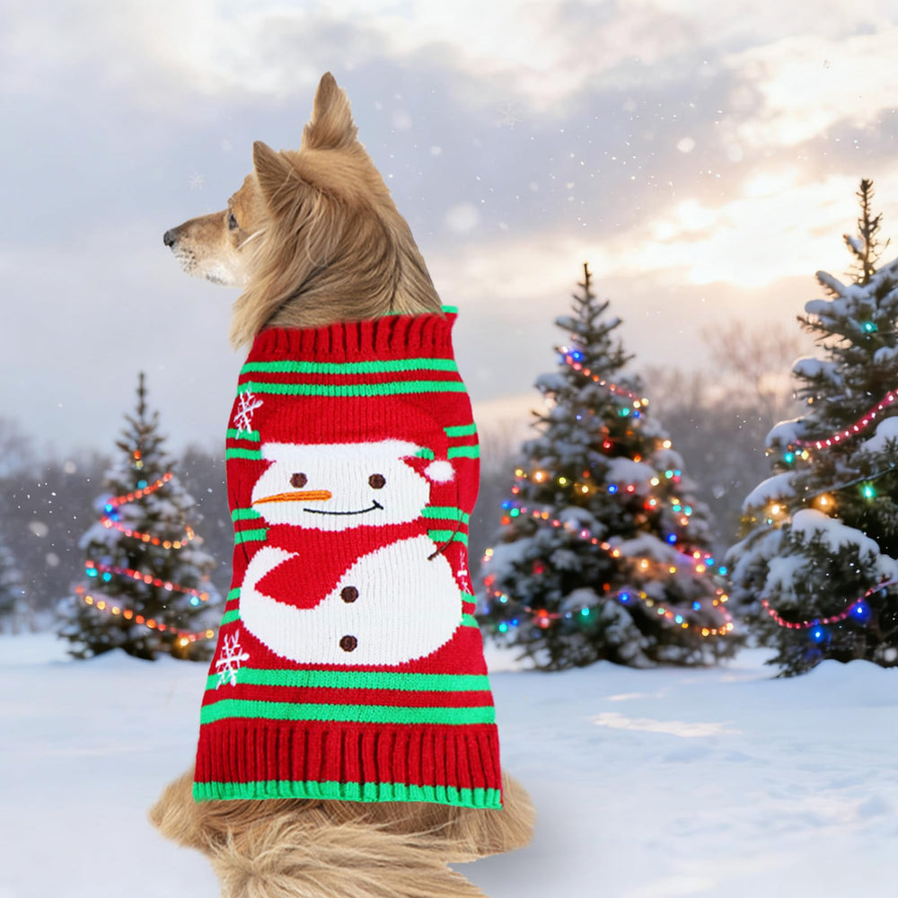 PAYHTOW dog winter outfit in a photo-friendly outdoor setting