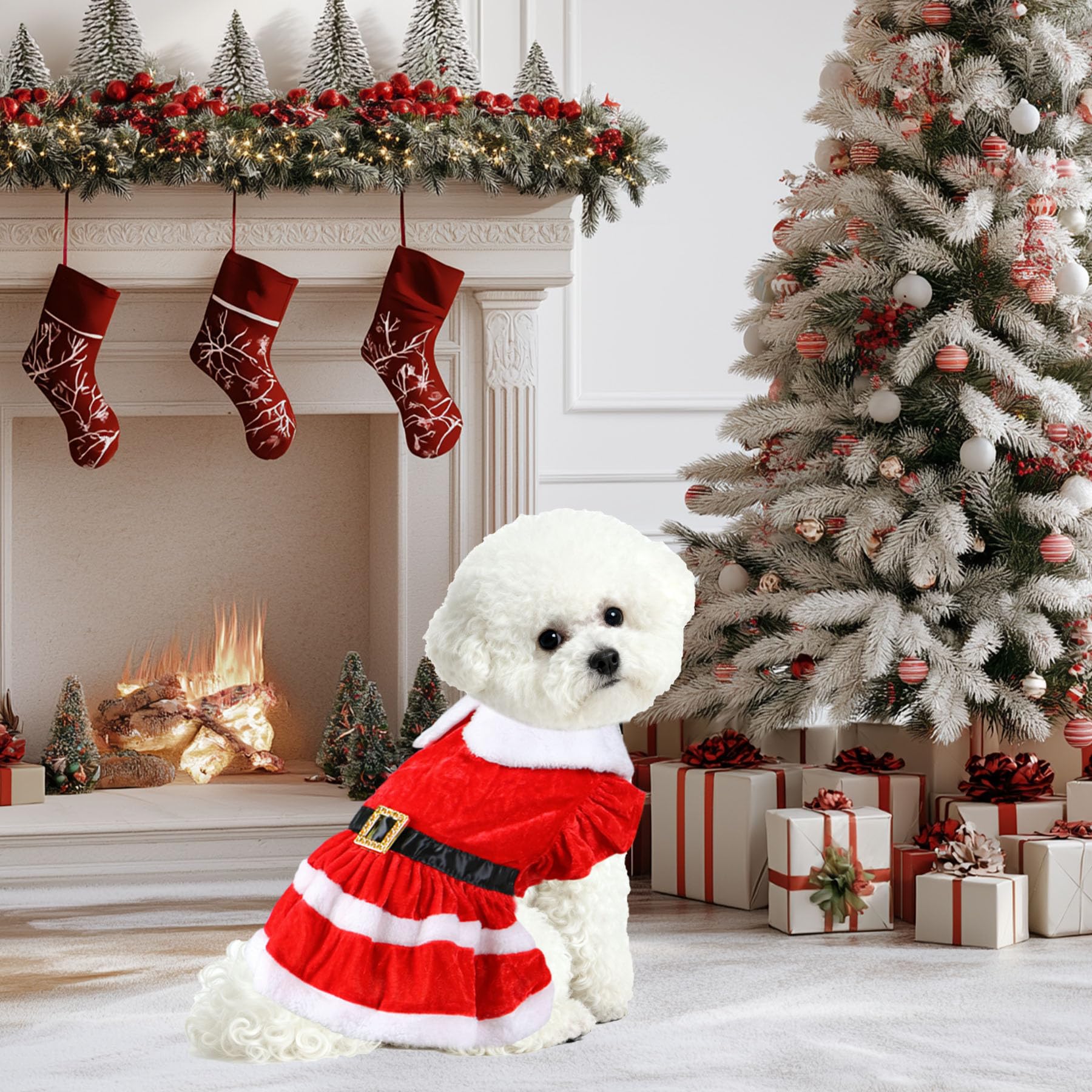 PAYHTOW family-photo-ready Christmas look for dogs