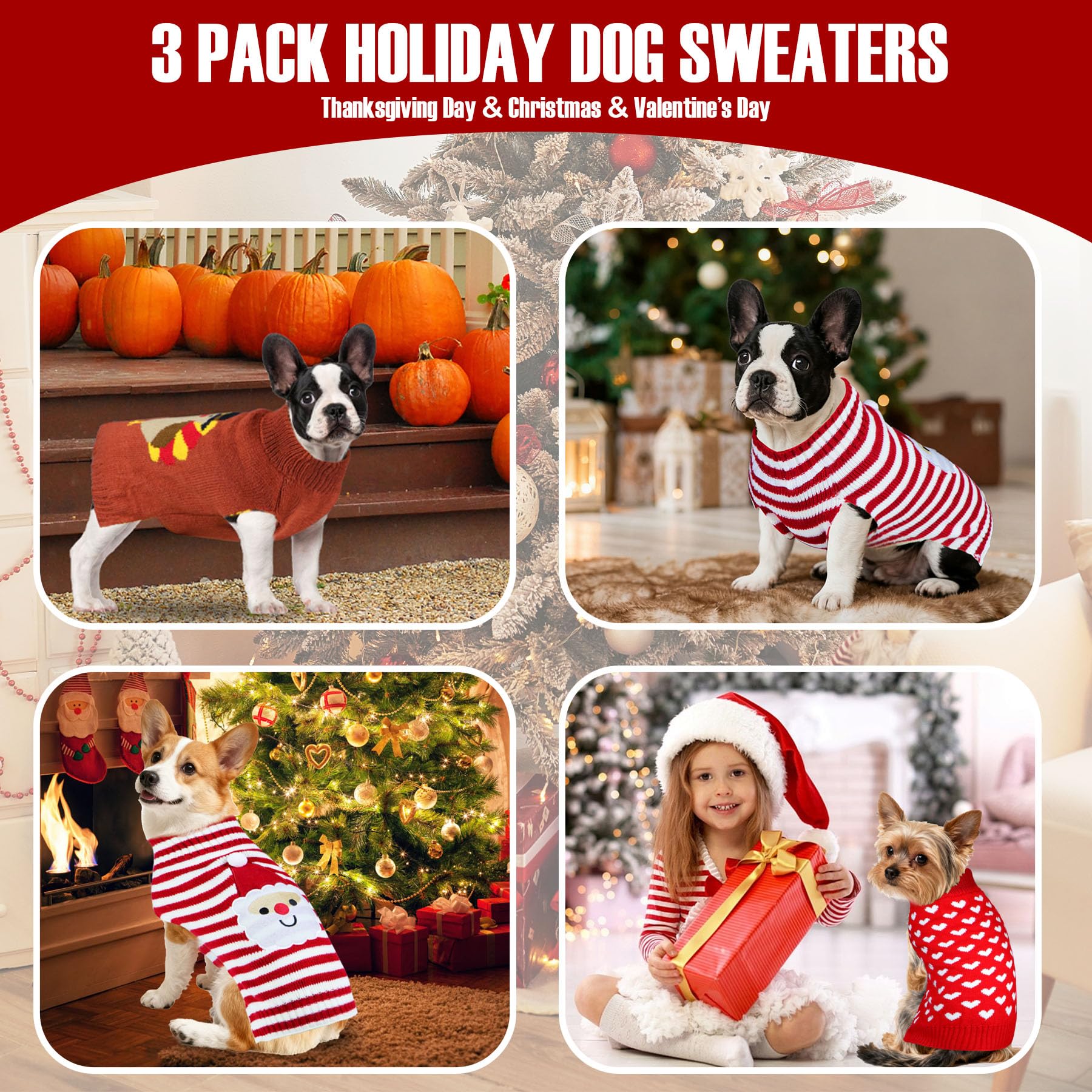 PAYHTOW heart sweater adds cute Valentine flair to pup's festive outfit.