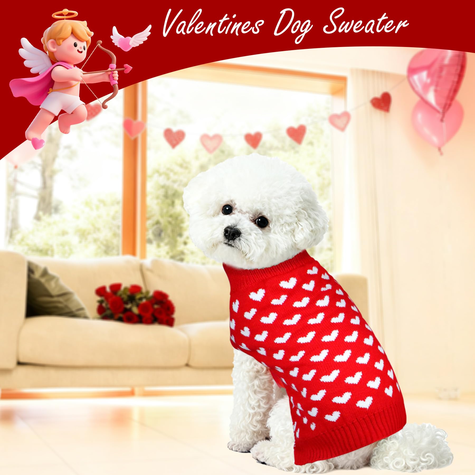 PAYHTOW festive dog photo showcasing three-knit set for holidays.