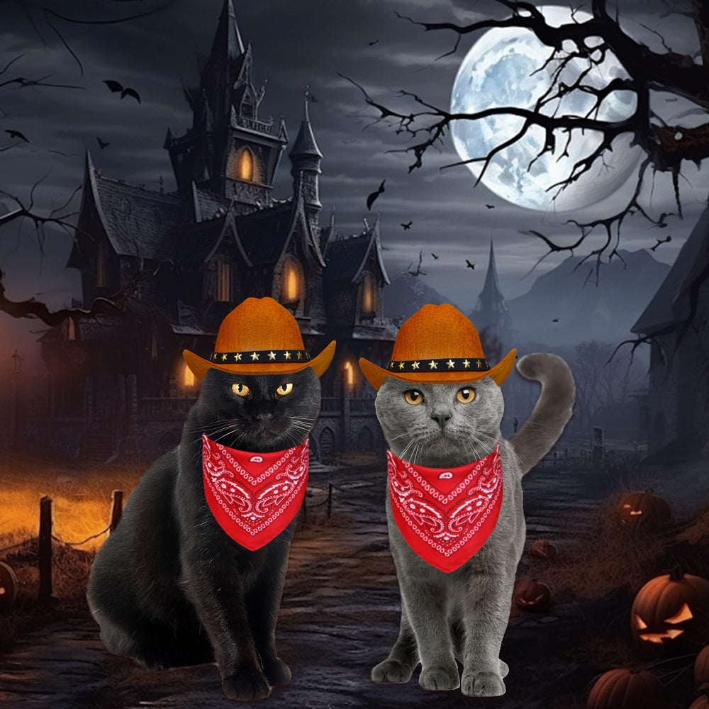 PAYHTOW pet cowboy bandana adds soft, durable flair for festive posing.