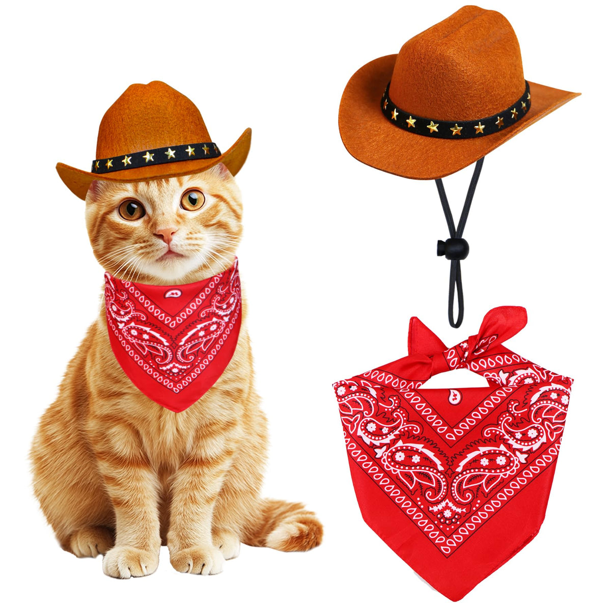 PAYHTOW pet cowboy hat for stylish Halloween photos and cute moments.