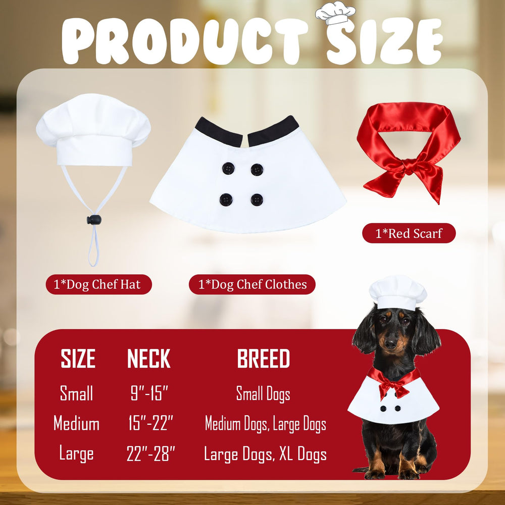 PAYHTOW red scarf adds stylish color coordination for photos.