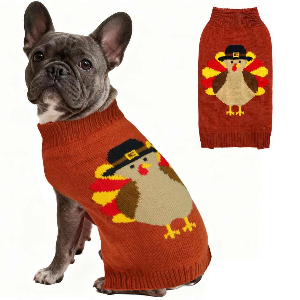 PAYHTOW Thanksgiving dog sweater front view with turkey pattern for festive photos.
