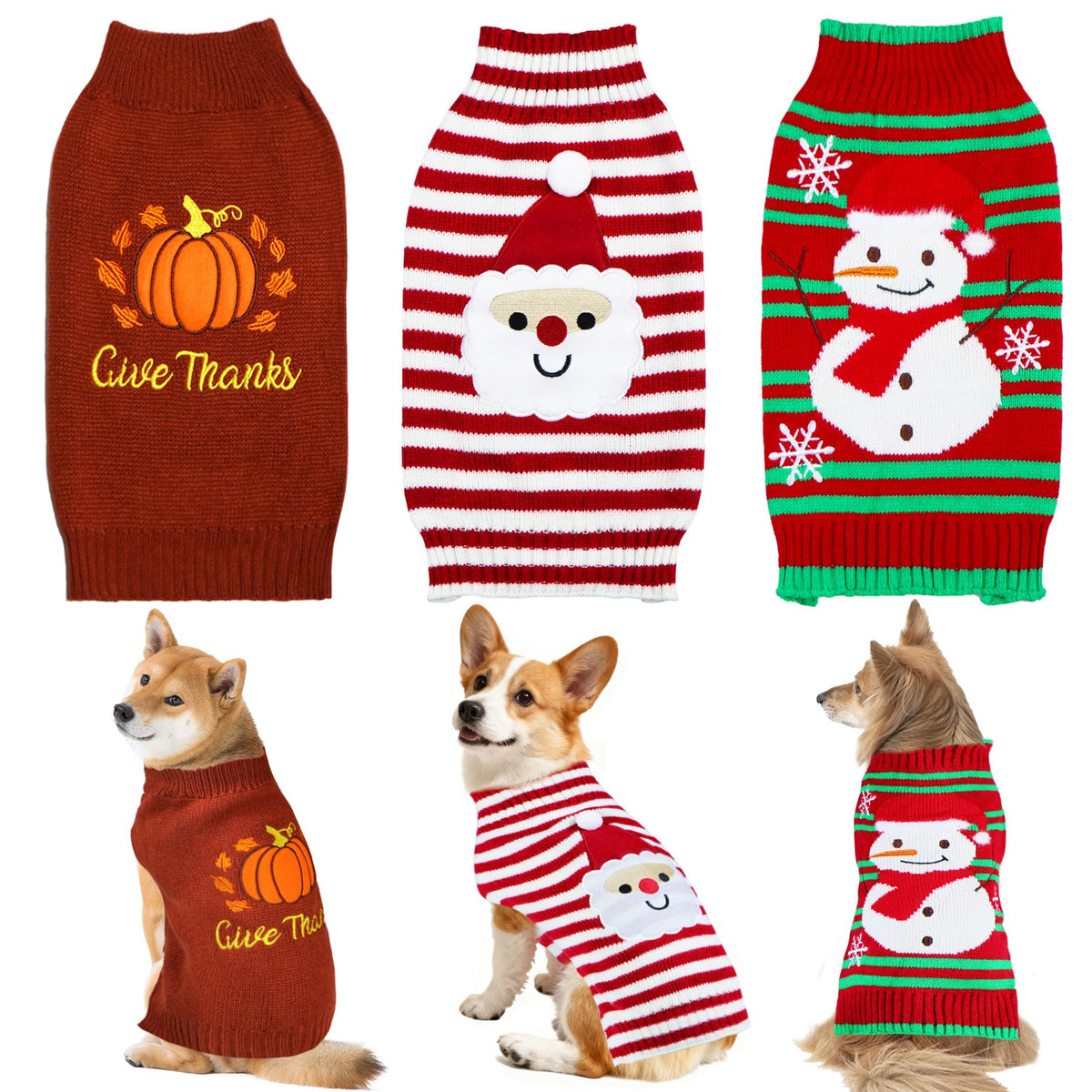 PAYHTOW Thanksgiving pumpkin sweater on a small dog for festive warmth.