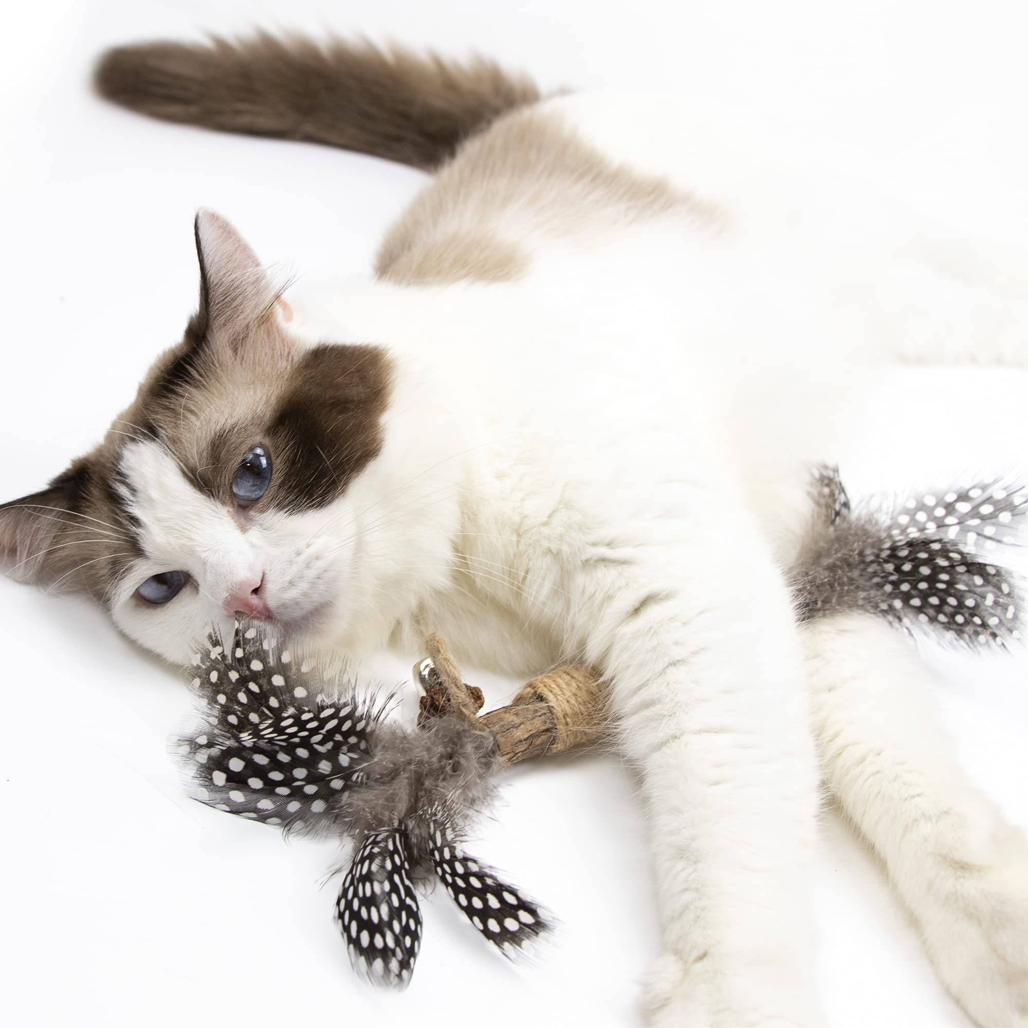 PAZ'S GIFT interactive-cat-toy promotes bonding and activity.