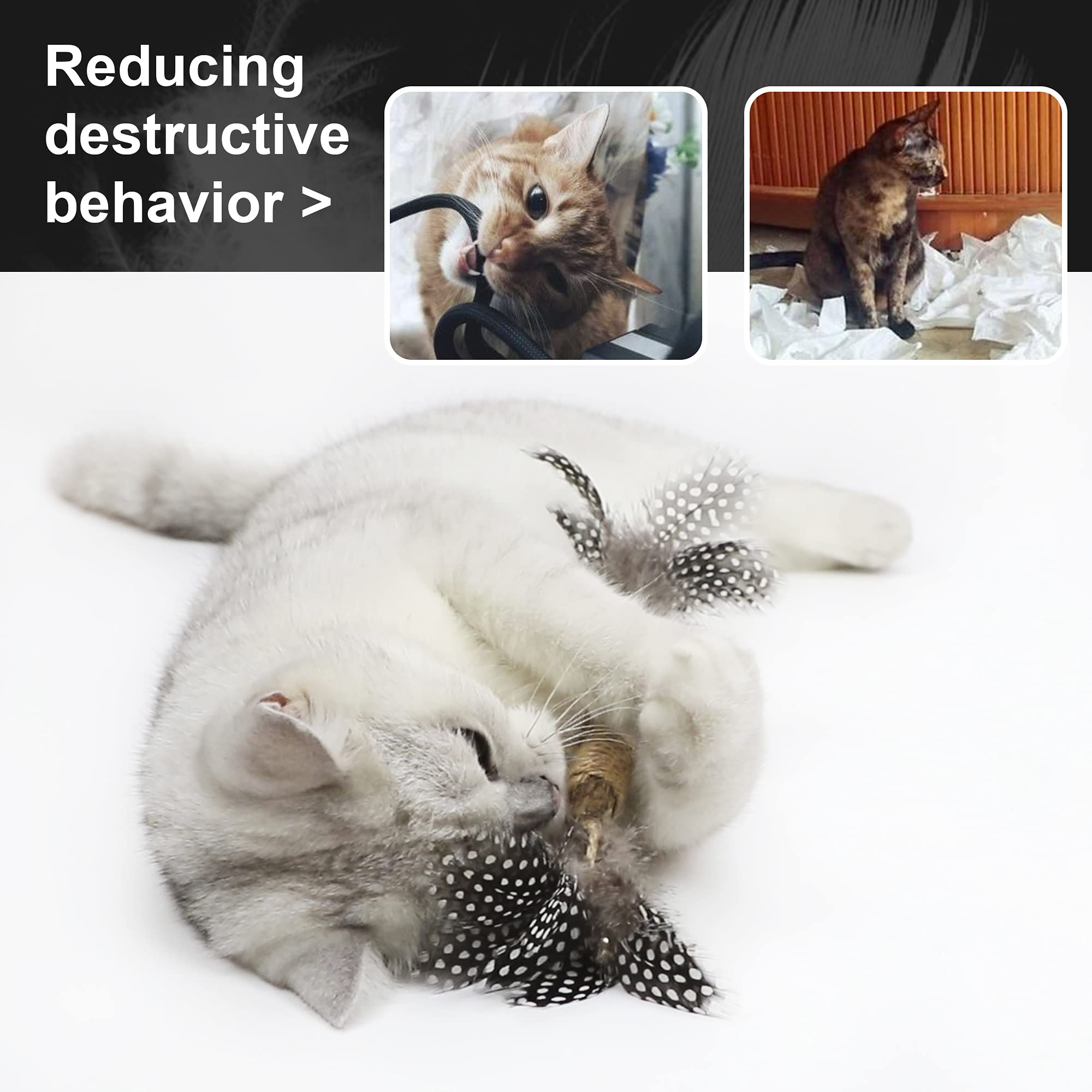 PAZ'S GIFT natural-materials emphasize safety and non-toxic chewing.