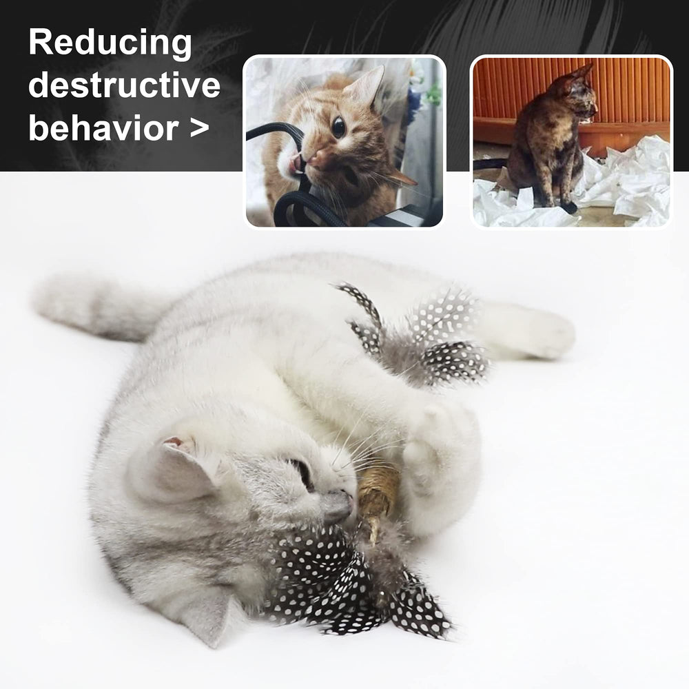 PAZ'S GIFT natural-materials emphasize safety and non-toxic chewing.