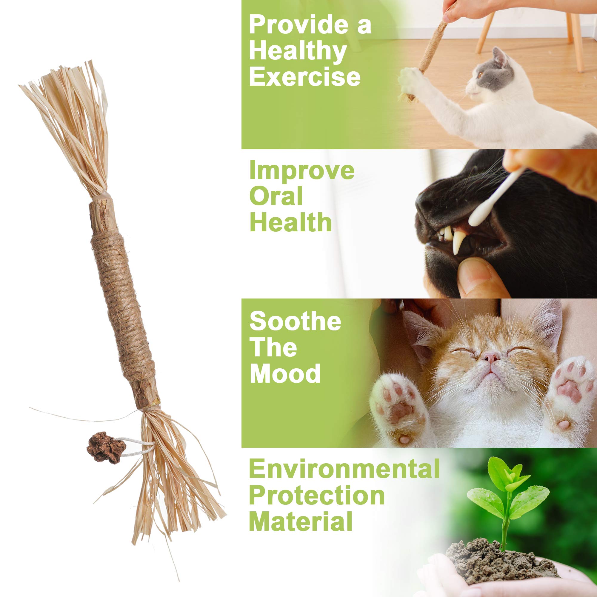 PAZ'S GIFT safe materials ensure gentle chewing for kittens to adults.