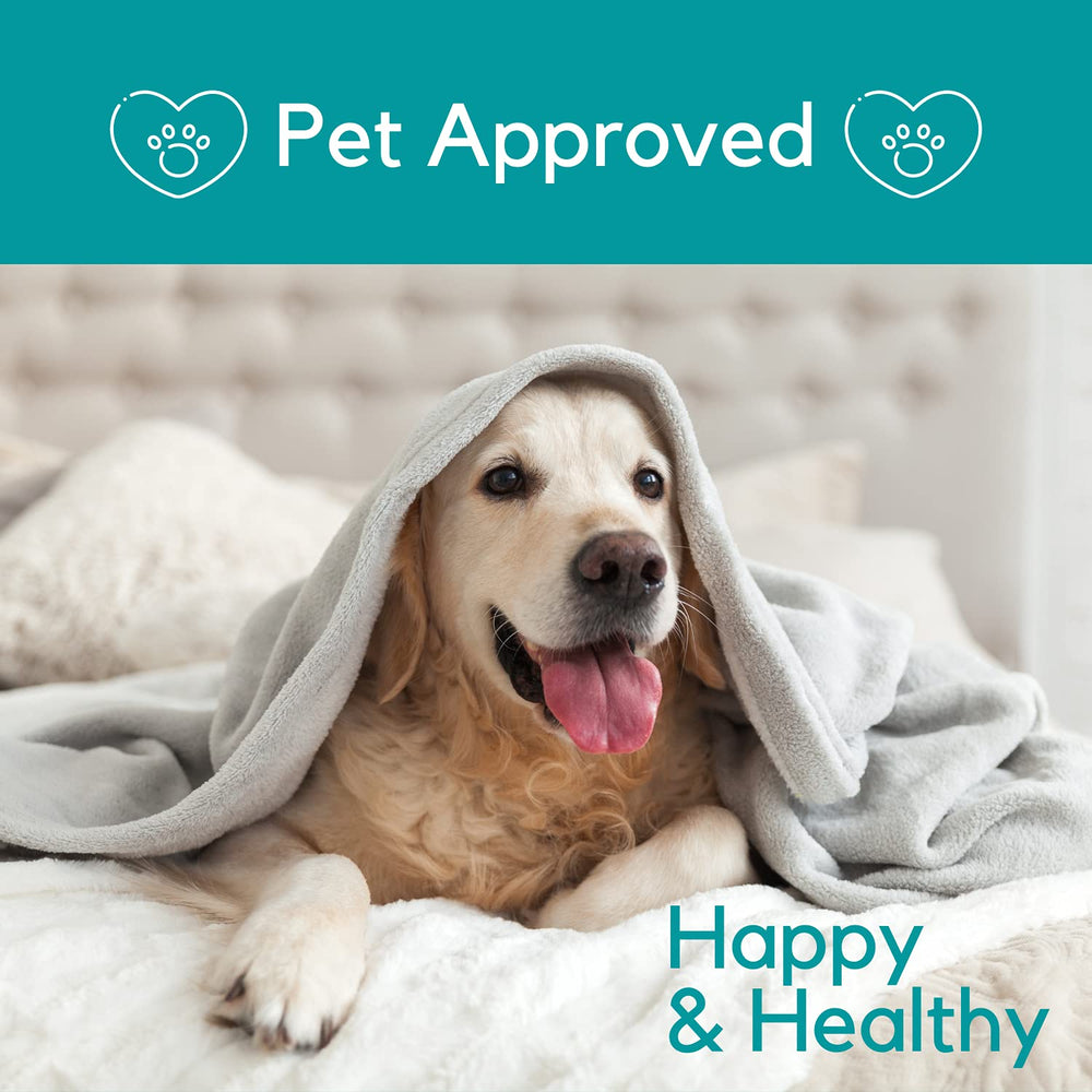 PB Pets Organic Hemp Oil application skin shows topical use for soothing areas.