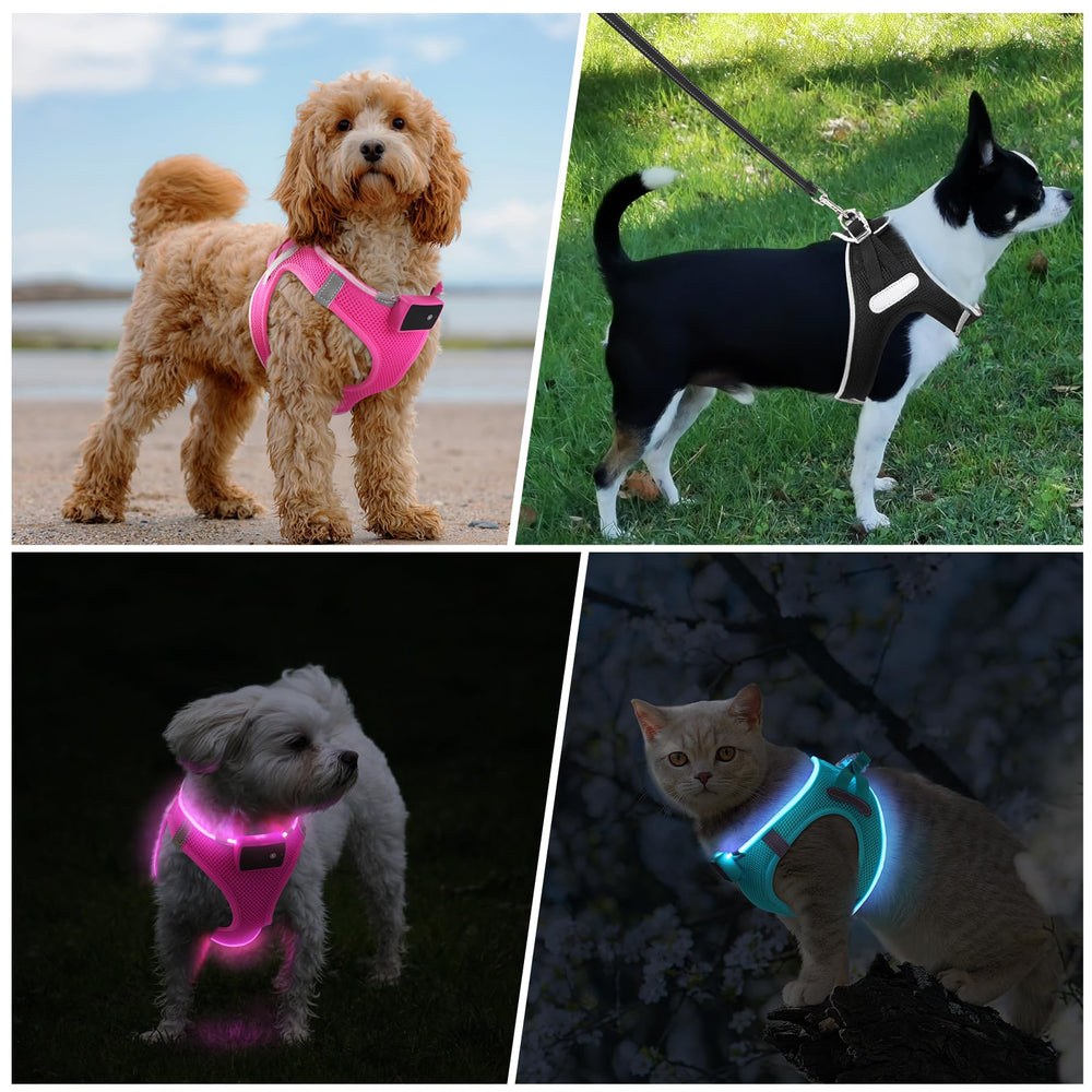 PcEoTllar adjustable harness strap fits small to medium dogs with ease.