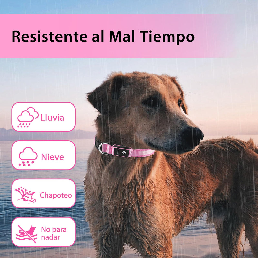 PcEoTllar adjustable quick-release collar fits all sizes securely