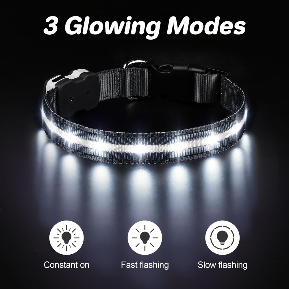 PcEoTllar collar recargable ofrece iluminación continua para salidas.