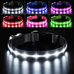 PcEoTllar collar iluminado nocturno mejora la visibilidad para paseos.