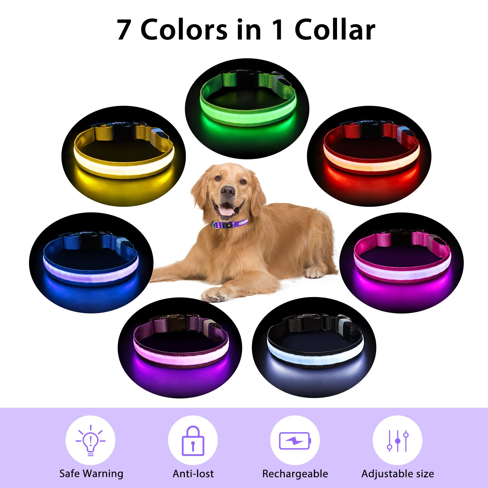 PcEoTllar collar ajustable, se adapta a perros de todos los tamaños.