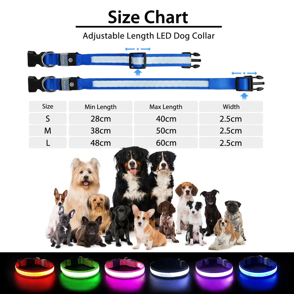 PcEoTllar color-changing LED collar adds mood-friendly glow.