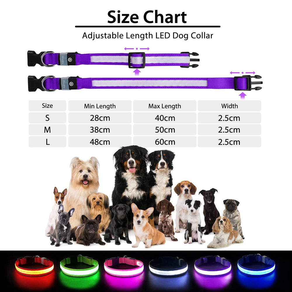 PcEoTllar waterproof dog collar in purple during wet conditions for durable daily use.