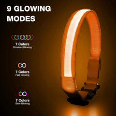 PcEoTllar LED collar displays colorful rainbow lights for mood-based styling.