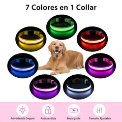 PcEoTllar LED color-changing dog collar shows seven colors for mood-inspired walks