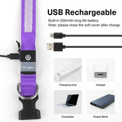 PcEoTllar RGB dog collar color switch close-up with seven glow options in purple.