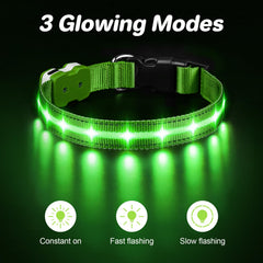PcEoTllar LED collar with three flashing modes for high visibility.