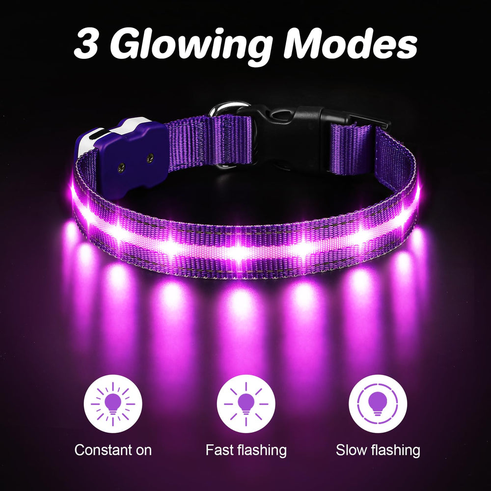 PcEoTllar led dog collar night walk setup with quick-release buckle for easy fitting
