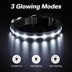 PcEoTllar LED dog collar during night walks improves visibility for drivers.