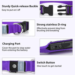 PcEoTllar LED dog collar rechargeable waterproof for swimming adventures.