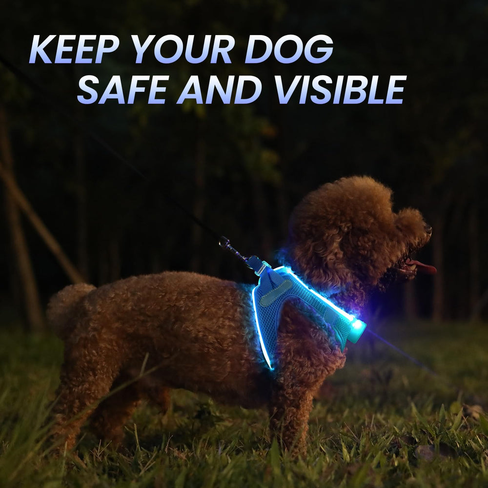 PcEoTllar LED dog harness chest reflective strap for high visibility at night.