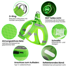 PcEoTllar LED Dog Harness green night-visibility mode, showing flashing options for twilight walks.