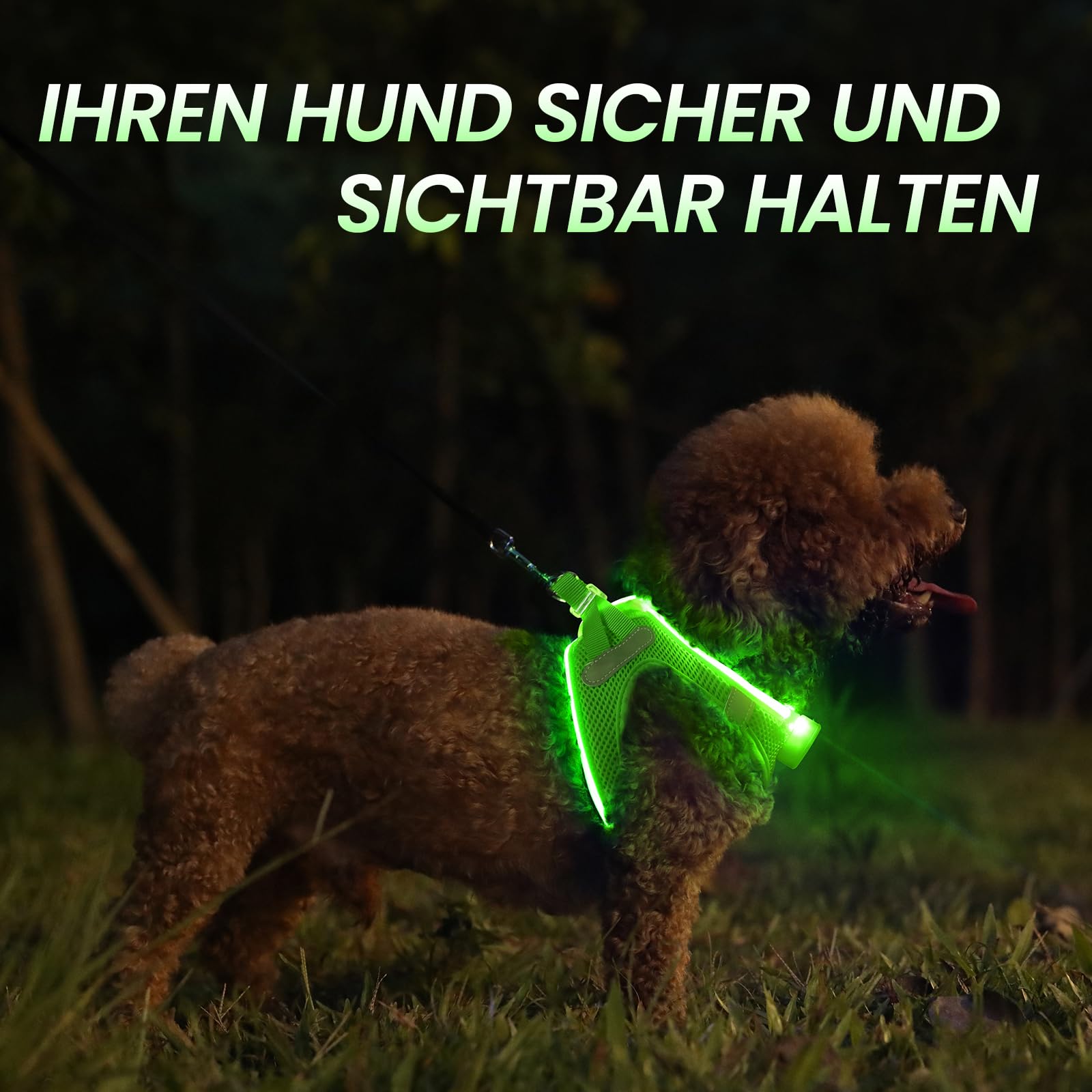 PcEoTllar LED Dog Harness green USB charging port close-up, easy recharging for long outings.