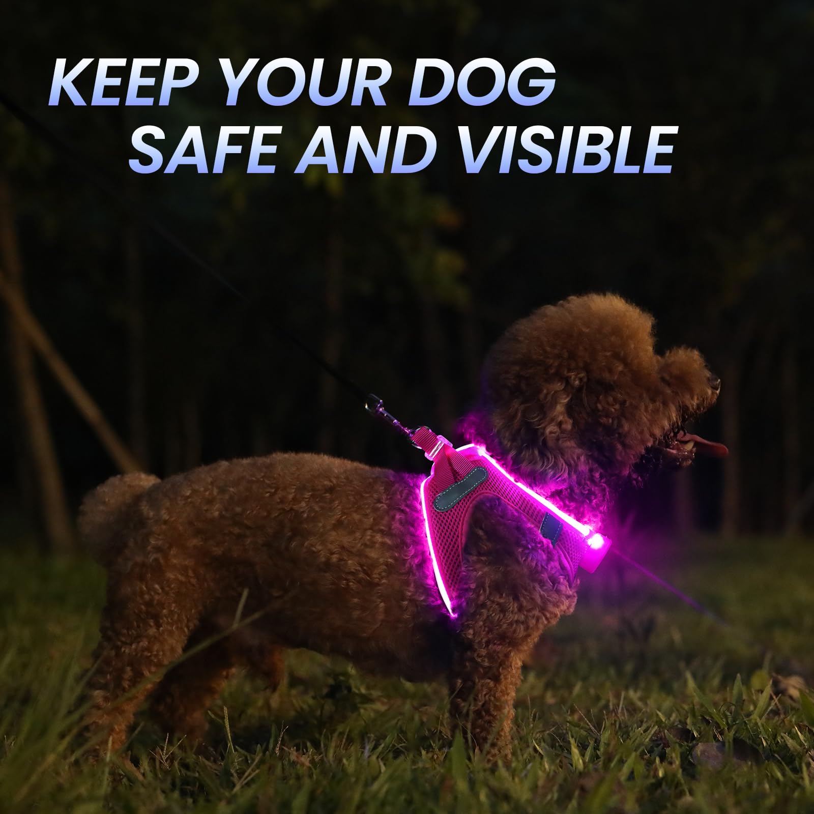 PcEoTllar LED dog harness night visibility image demonstrates long-range visibility.