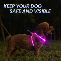 PcEoTllar LED dog harness night visibility image demonstrates long-range visibility.