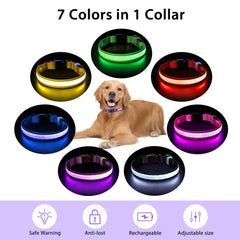 PcEoTllar light up dog collar adjustable size fits dogs of all breeds.