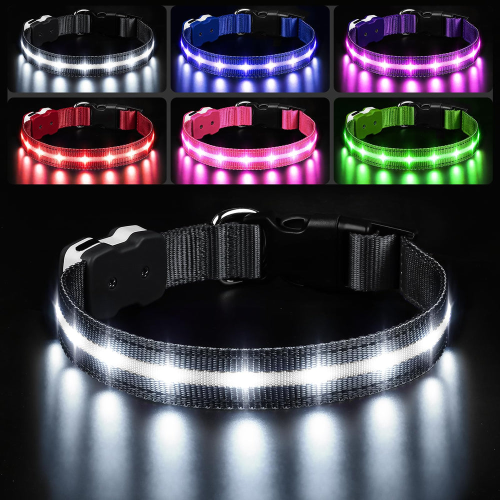 PcEoTllar light-up dog collar with buckle for safer night walks.