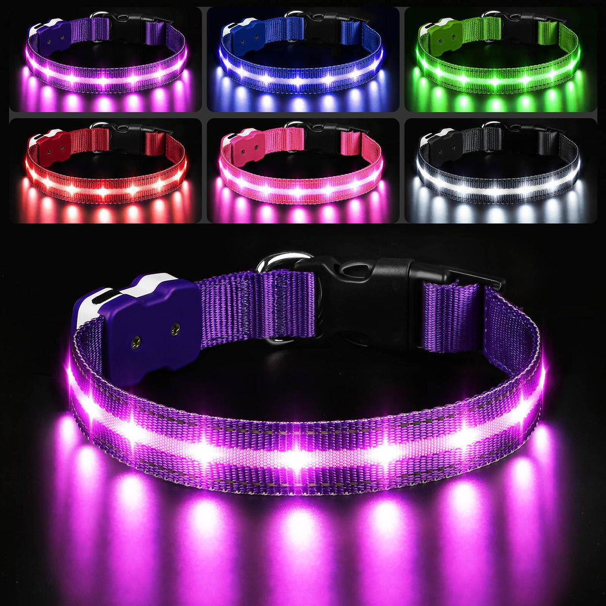 PcEoTllar light up dog collar front view purple for night visibility and safety