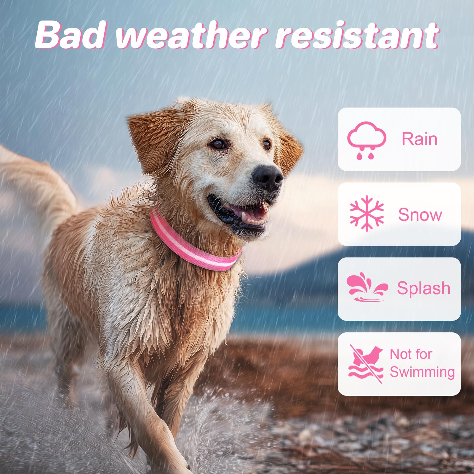 PcEoTllar light up dog collar rechargeable battery ready for long night adventures