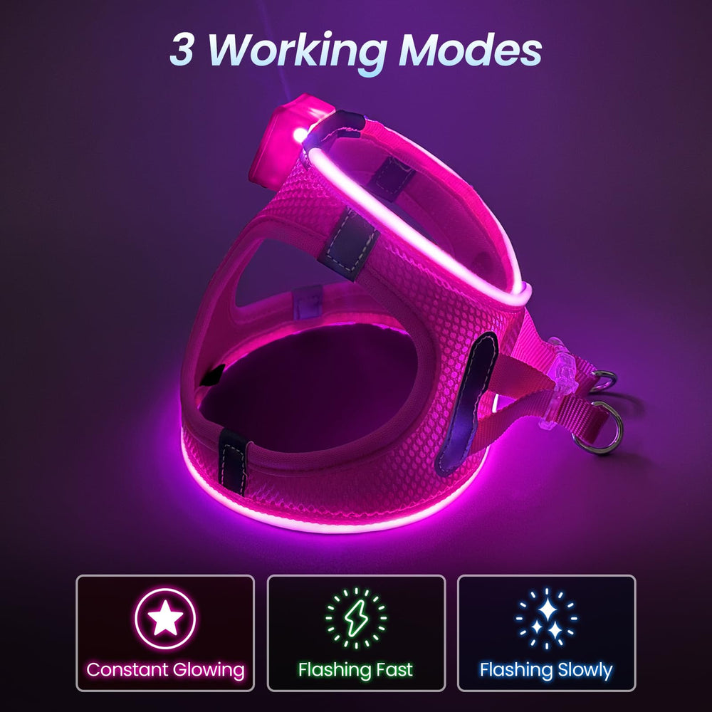 PcEoTllar light up dog harness back view highlighting reflective trim for night visibility.
