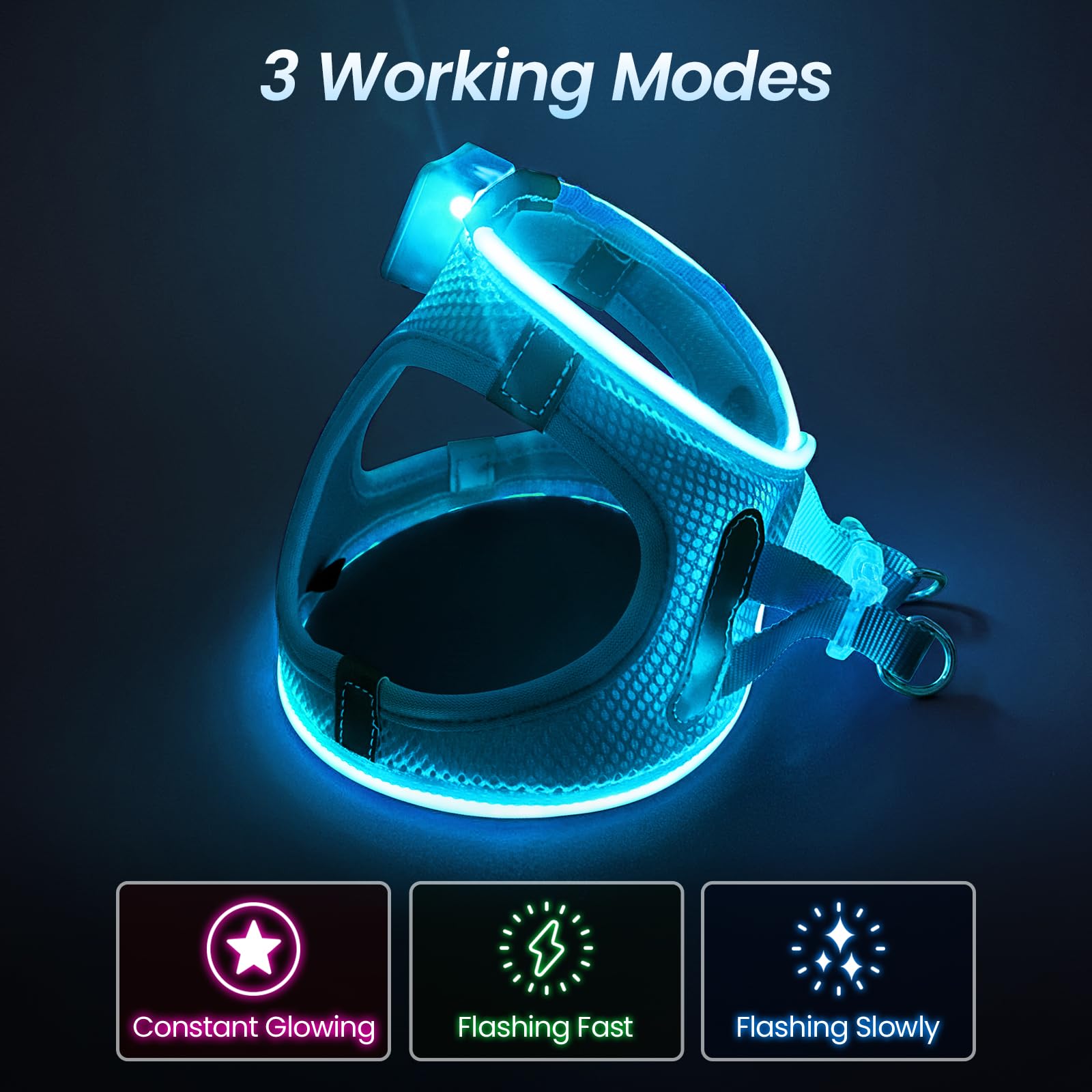 PcEoTllar light up dog harness blue with 360° visibility for safer night walks.