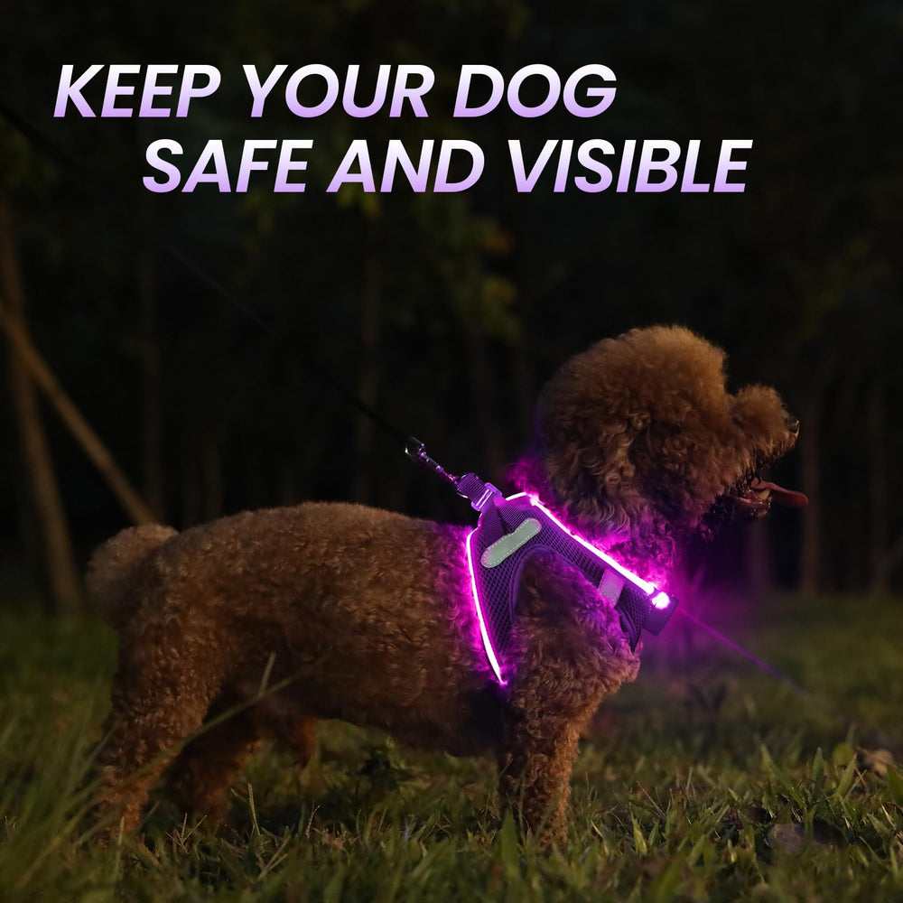 PcEoTllar light-up dog harness chest and neck adjustments for secure fit