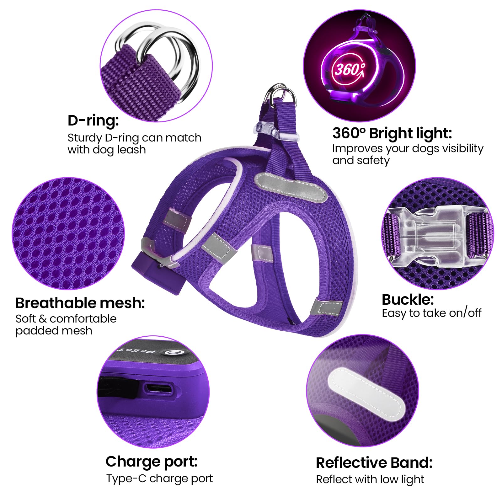 PcEoTllar light-up dog harness night-visibility design boosts safety