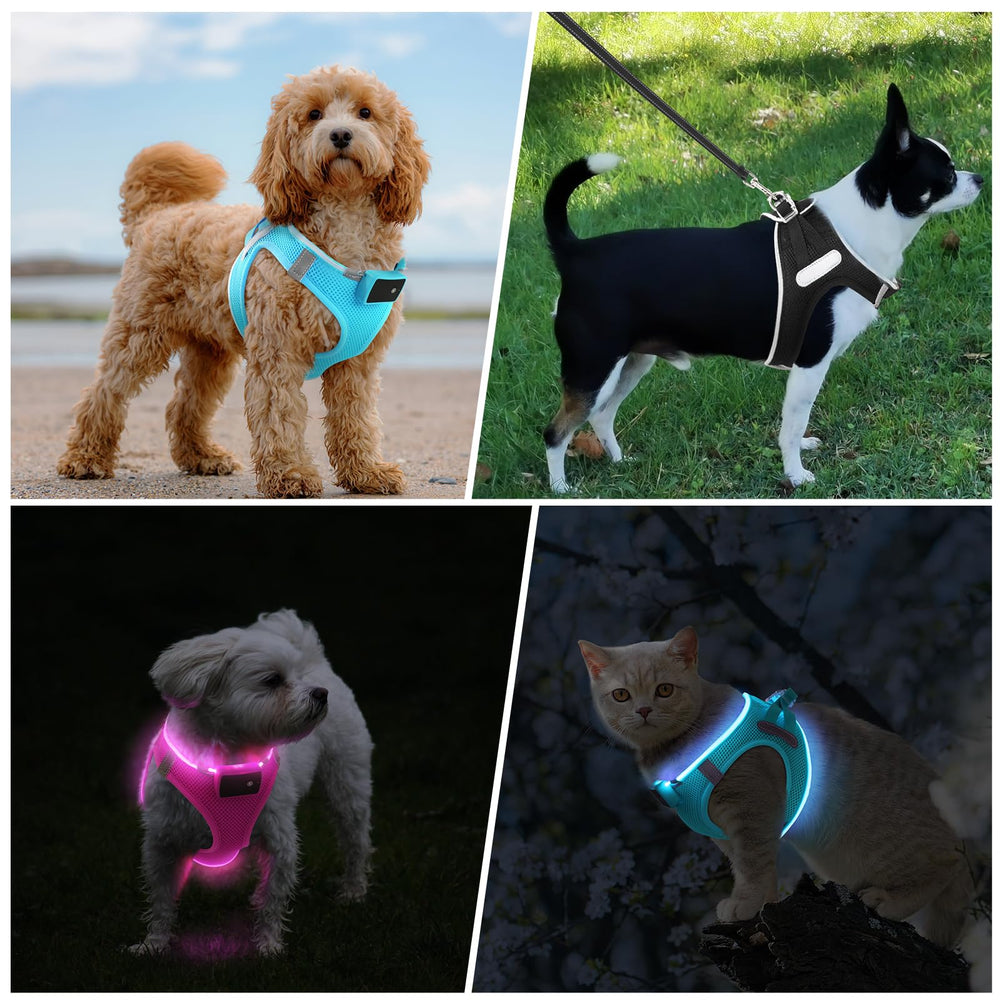 PcEoTllar light up harness in use at night for secure walking.